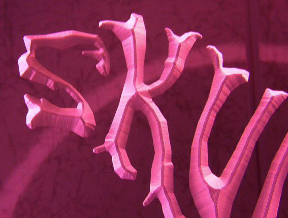 Detail of the 3-D Midline Engraving when lit with Neon