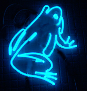 A frog made up of Clear Blue Glass Tubing