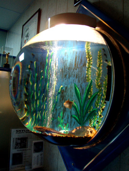 Manufactured from an acrylic Dome, these Aquariums are incredible